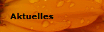 Aktuelles