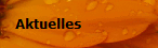 Aktuelles